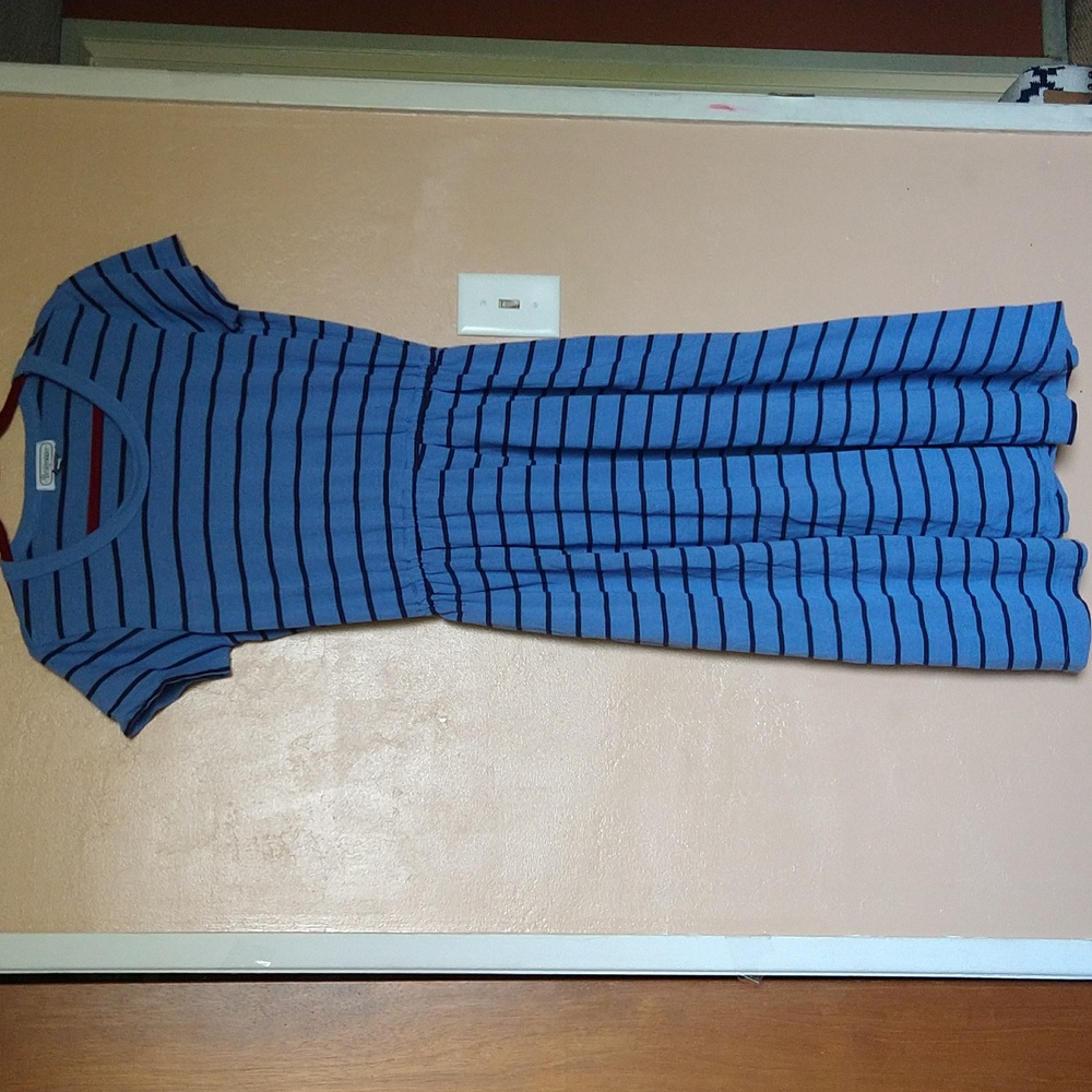 Bridgewater Striped Blue Cotton Dress Size Petite Large